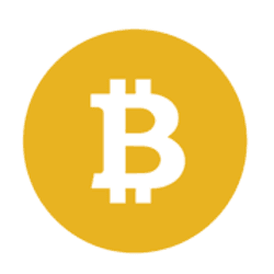 BSV logo